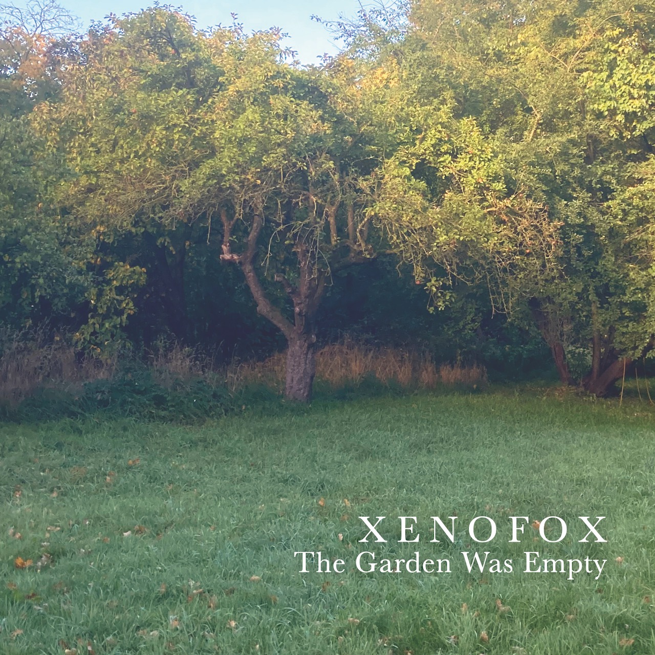 Xenofox The Garden Was Empty